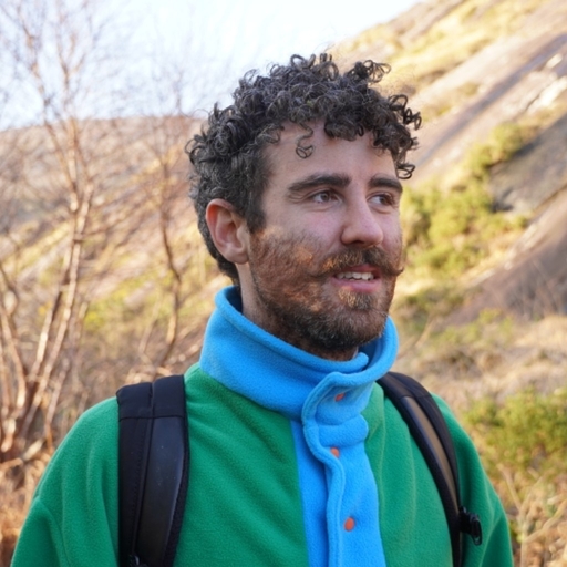 Rónán Ó Dálaigh